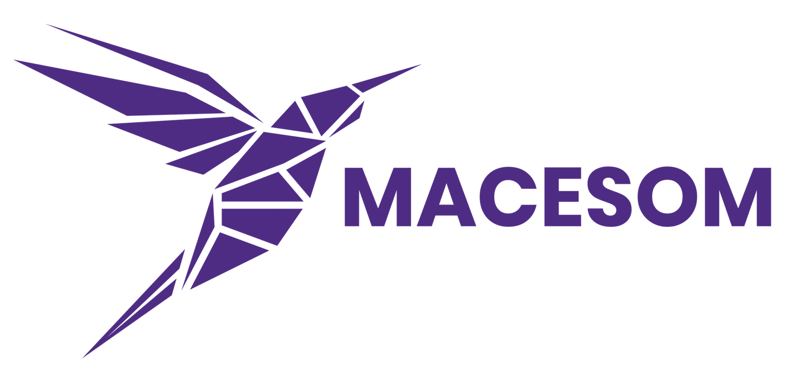 MACESOM AI DEVELOPMENT CENTRE